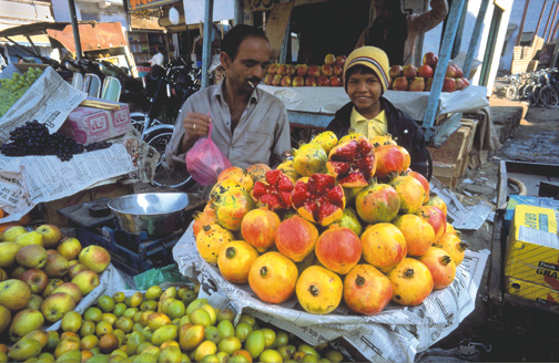 selling pomegranates in Bhuj